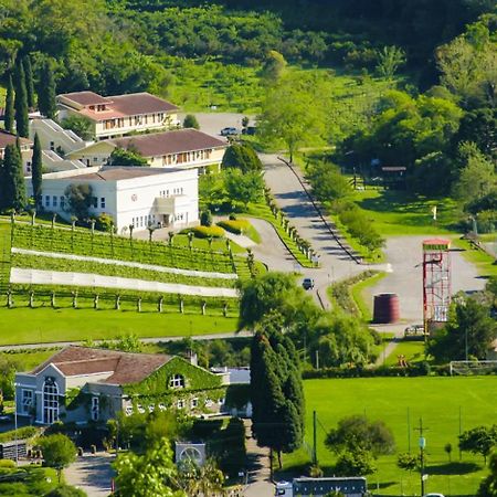Hotel Villa Michelon Бенту-Гонсалвис Экстерьер фото